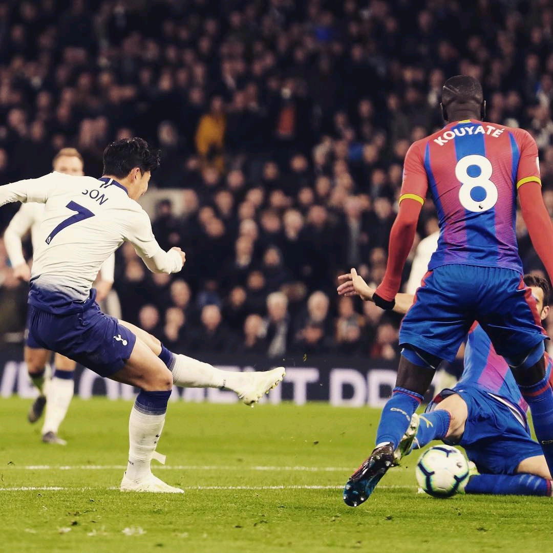 理范围内 理范围内